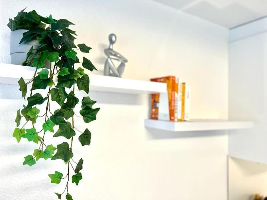 Apartament Casa Ambizione Dietikon Zewnętrze zdjęcie