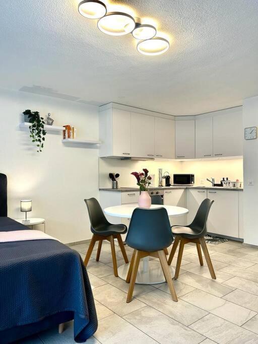 Apartament Casa Ambizione Dietikon Zewnętrze zdjęcie