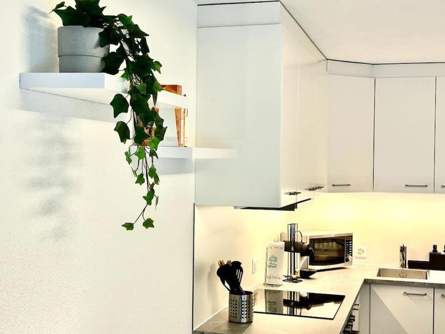 Apartament Casa Ambizione Dietikon Zewnętrze zdjęcie